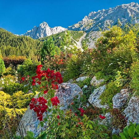 Pension Stoffenbauer Ramsau am Dachstein Εξωτερικό φωτογραφία