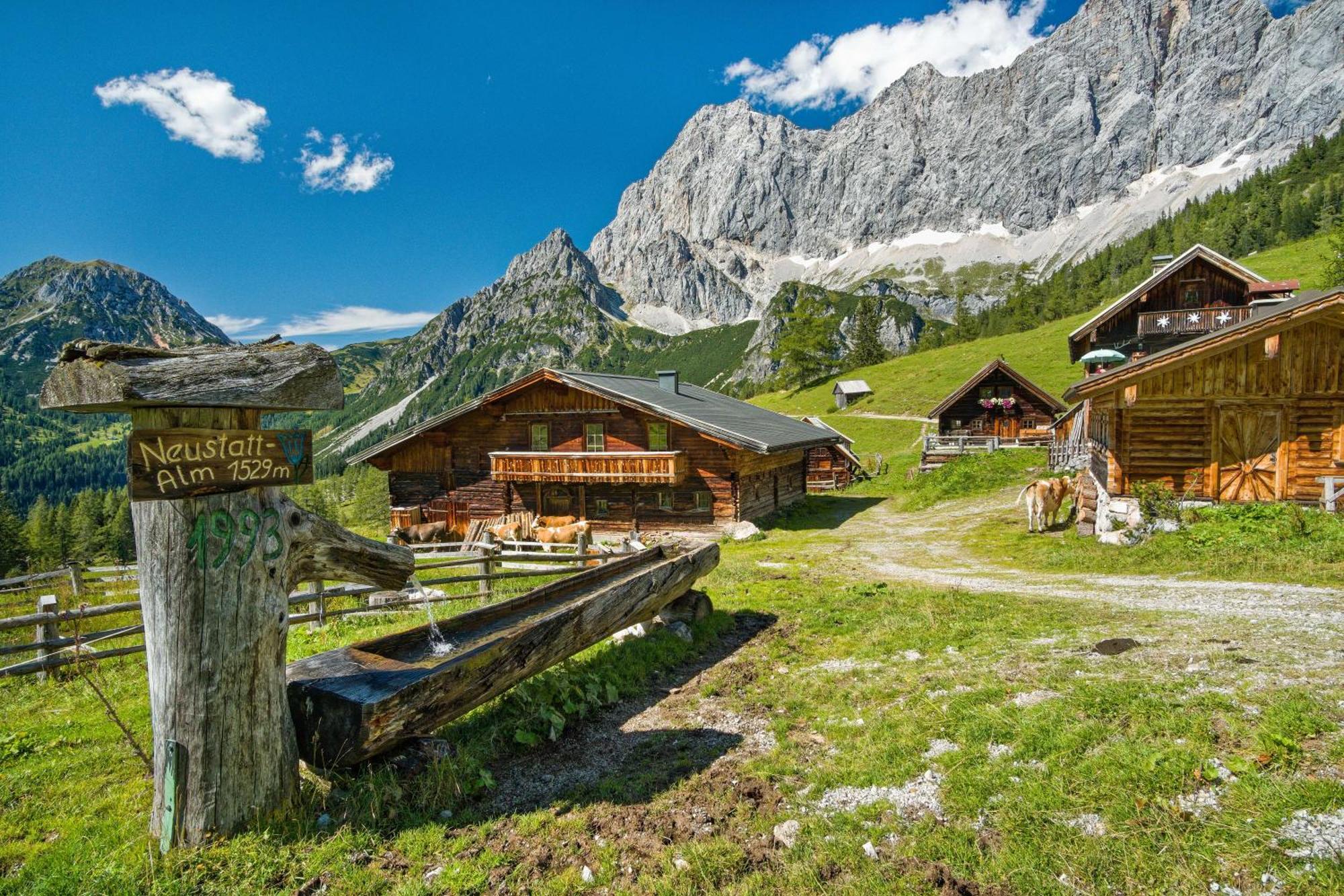 Pension Stoffenbauer Ramsau am Dachstein Εξωτερικό φωτογραφία