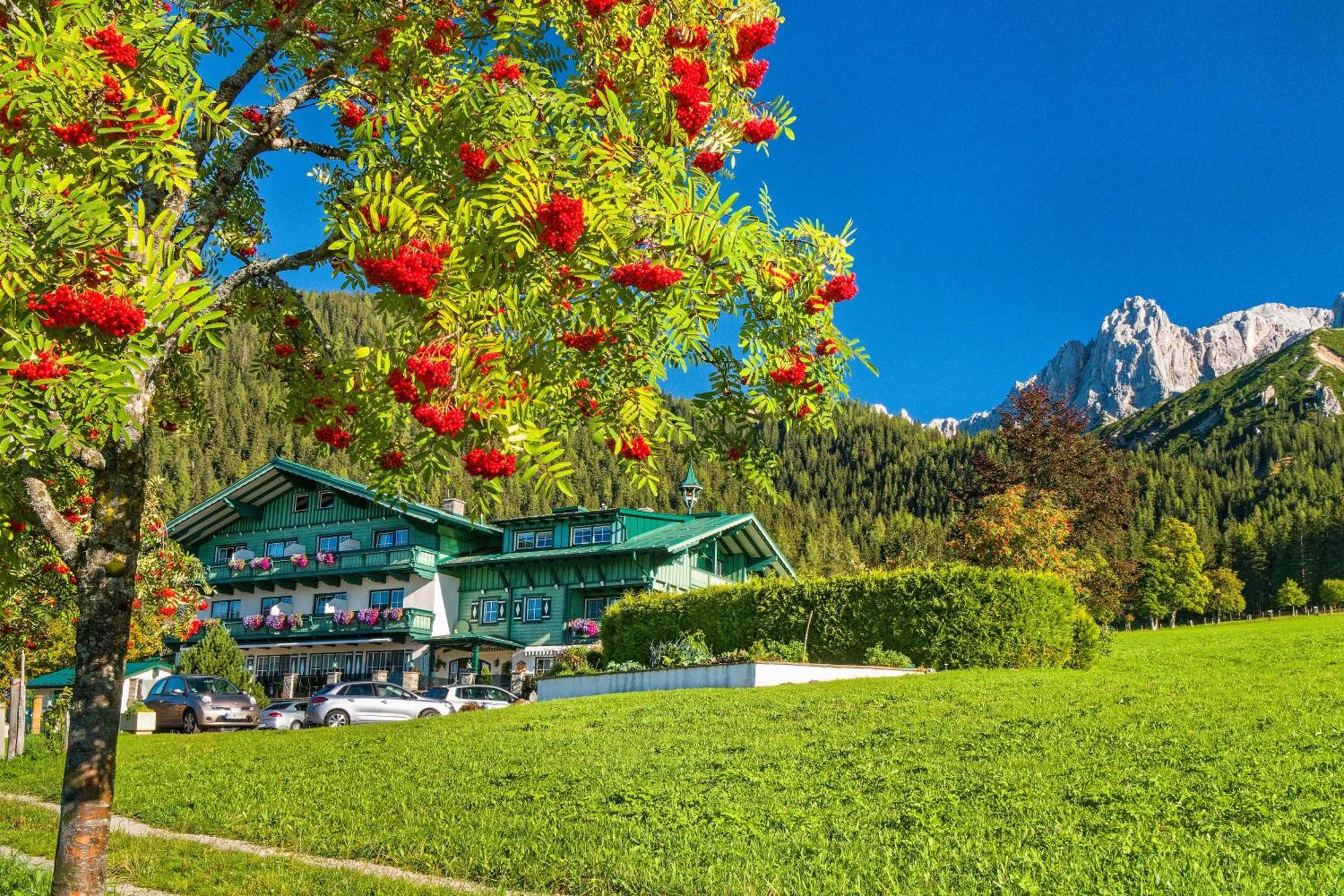 Pension Stoffenbauer Ramsau am Dachstein Εξωτερικό φωτογραφία