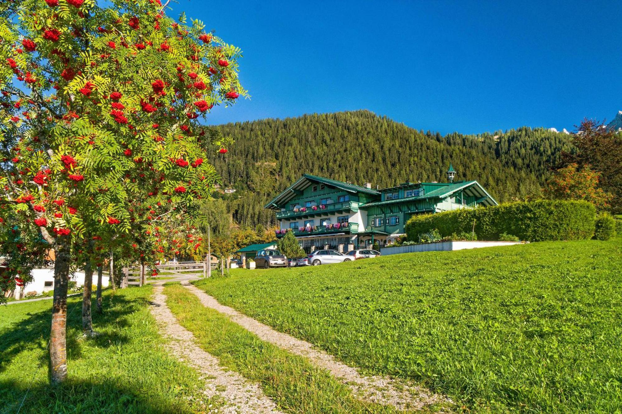 Pension Stoffenbauer Ramsau am Dachstein Εξωτερικό φωτογραφία